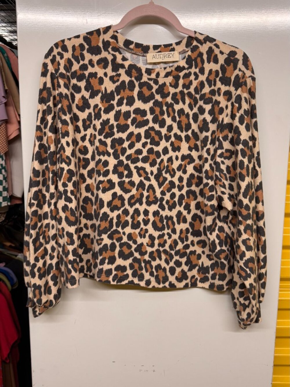 Audrey Leopard Print Long Sleeve Pullover Top - Size Small